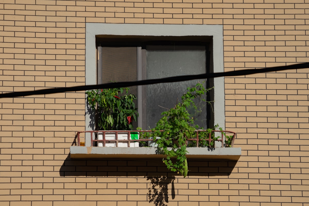 Close-up of a window frame showing weatherstripping and caulk for air sealing