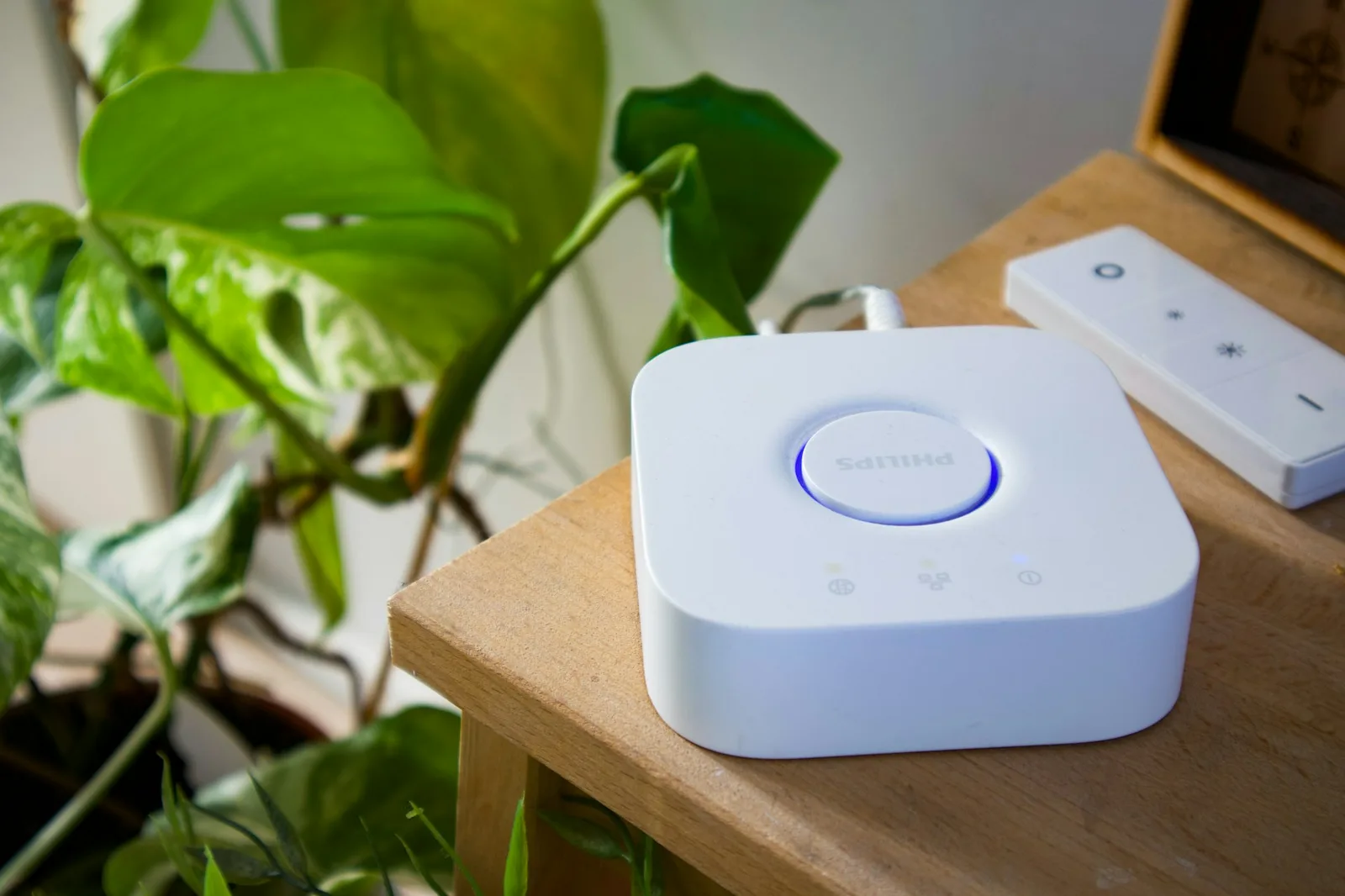 A small smart home hub with a glowing ring on a wooden table beside houseplants