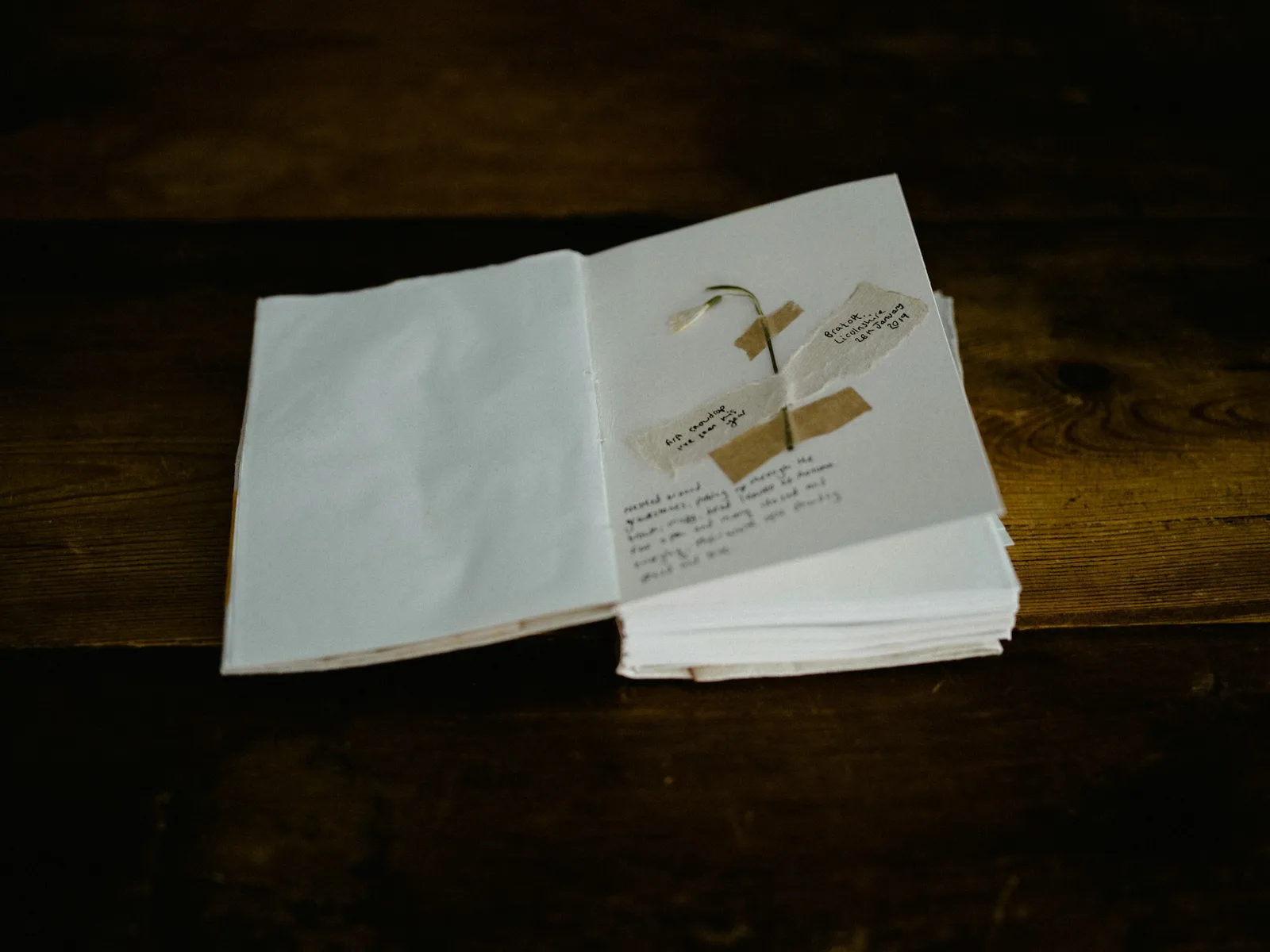 An open handwritten garden journal with a pencil and seed packets on a wooden potting bench
