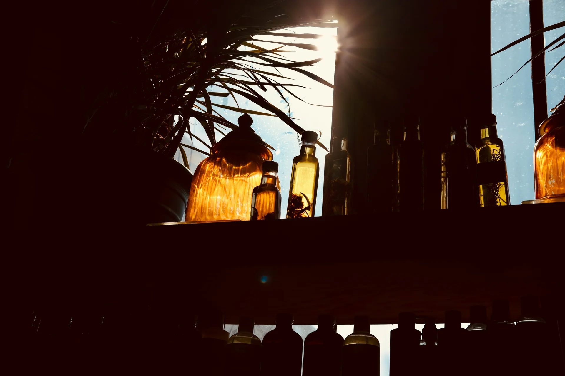 Glass apothecary bottles and jars with herbal oil infusions on a shelf in warm sunlight