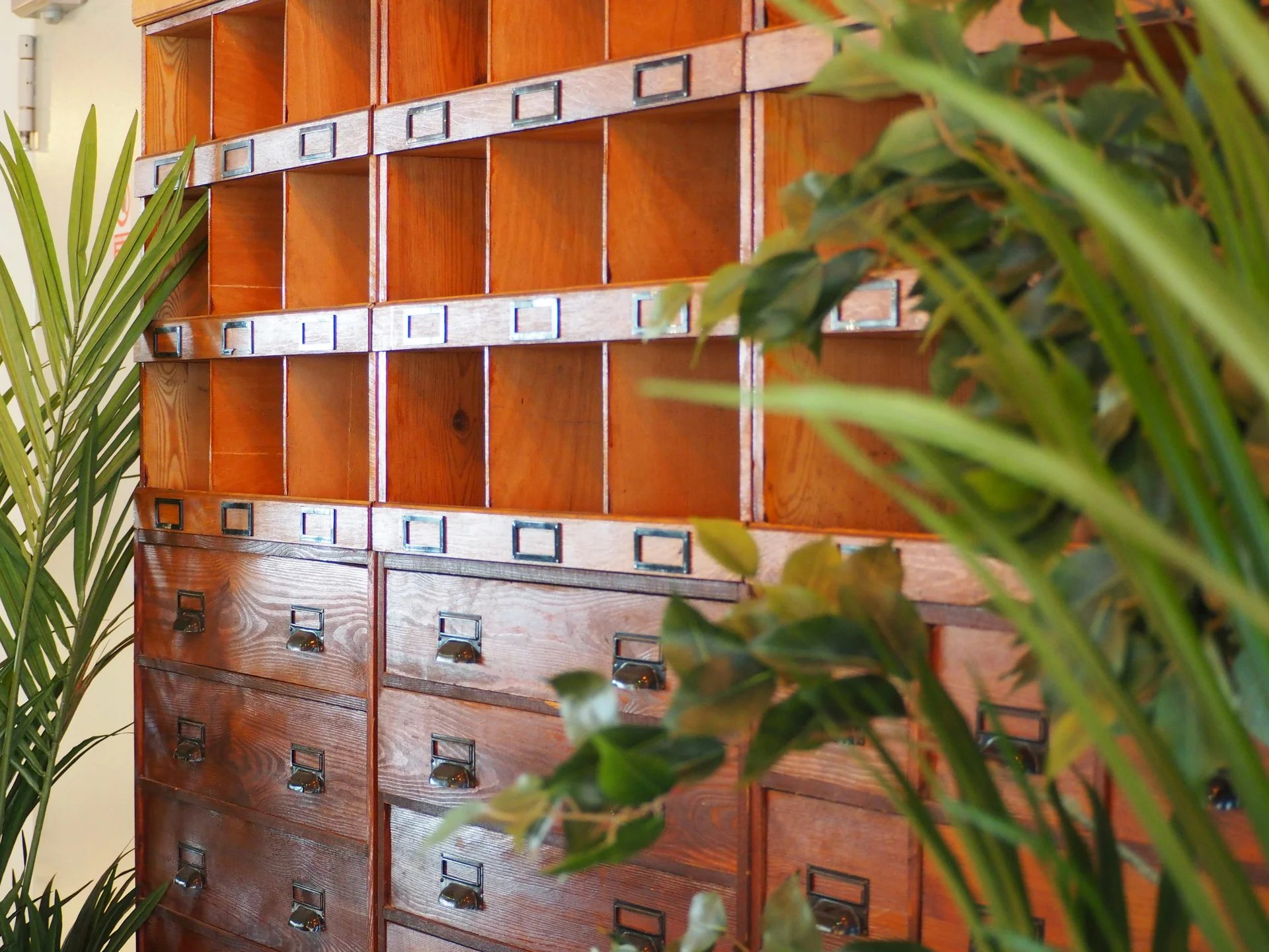 Vintage wooden apothecary cabinet with drawers and shelves holding botanicals and jars