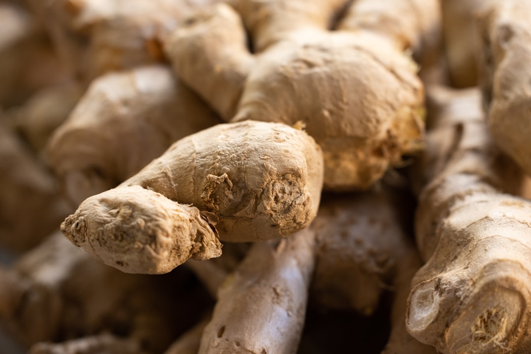 Close-up of fresh unpeeled organic ginger roots with skin intact, granulated white cane sugar in a small bowl on a wooden cutting board
