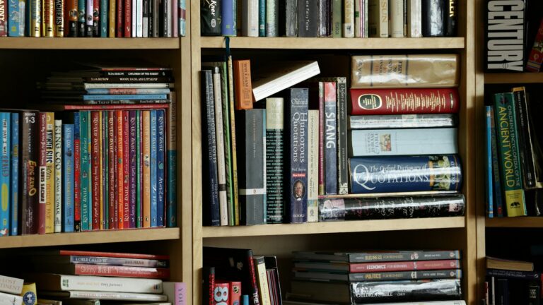 What to Download Before the Internet Goes Down: Building Your Offline Library